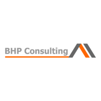 BHP Consulting